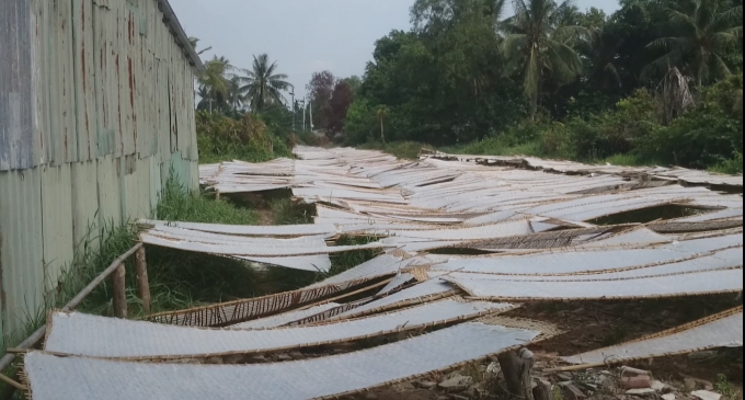 Hủ tiếu được phơi s&aacute;t mặt đất, kh&ocirc;ng được che chắn rất mất vệ sinh