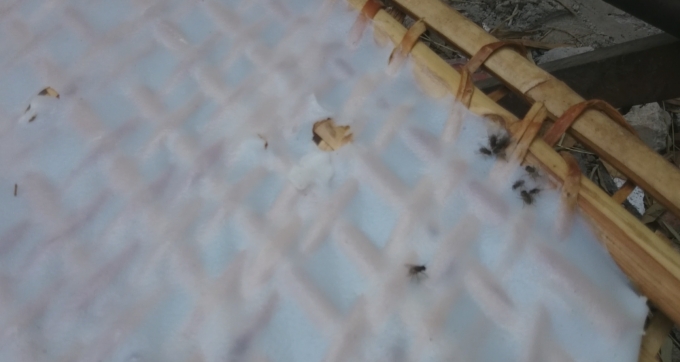 Ph&aacute;t hiện cơ sở sản xuất