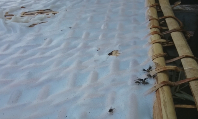 Ph&aacute;t hiện cơ sở sản xuất