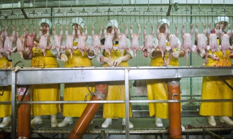 Việc phải chịu đựng điều kiện l&agrave;m việc tồi t&agrave;n trong thời gian d&agrave;i dễ dẫn tới c&aacute;c bệnh li&ecirc;n quan tới hệ b&agrave;i tiết, c&aacute;c nh&oacute;m cơ xương v&agrave; nhiều vấn đề kh&aacute;c.