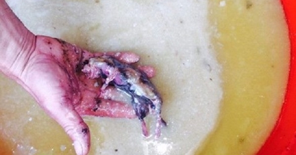 Lạng Sơn: Bắt nhiều xe tải chở hàng chục tấn thực phẩm bẩn