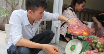 Chàng sinh viên bán rau sạch và ước mơ xuất khẩu món cá kho của mẹ