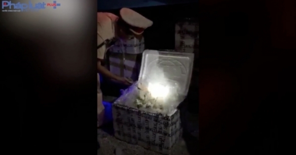 Nghệ An: Thu giữ 600kg thực phẩm không rõ nguồn gốc