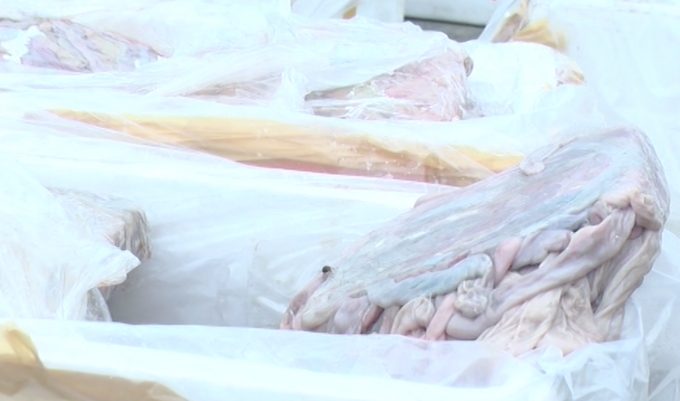 Nội tạng h&ocirc;i thối n&agrave;y được mua với gi&aacute; 13.000đ/kg.