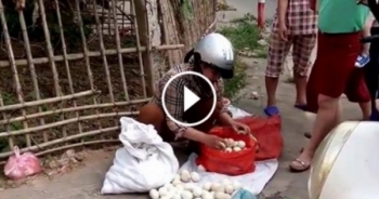 Clip: Người phụ nữ nghi bán trứng giả  bị dân "tóm" gọn