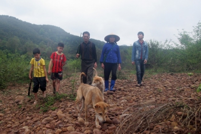 Hạt Kiểm l&acirc;m huyện Lộc B&igrave;nh tự &yacute; k&yacute; giấy giao đất l&agrave; vi phạm nghi&ecirc;m trọng quy định của ph&aacute;p luật.