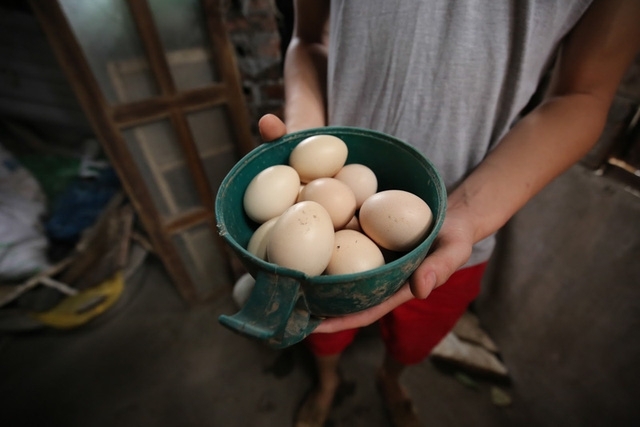 Những quả trứng g&agrave; tươi ngon bổ dưỡng v&agrave; an to&agrave;n về chất lượng sản phẩm.