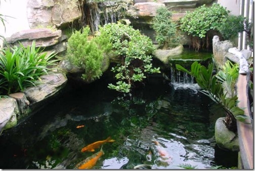 Kh&ocirc;ng chỉ c&oacute; vậy, &ocirc;ng Tiến c&ograve;n x&acirc;y dựng bể c&aacute; với rất nhiều loại c&aacute; đa dạng v&agrave; phong ph&uacute;.