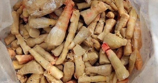 Tiêu hủy hơn 19 tấn măng bẩn