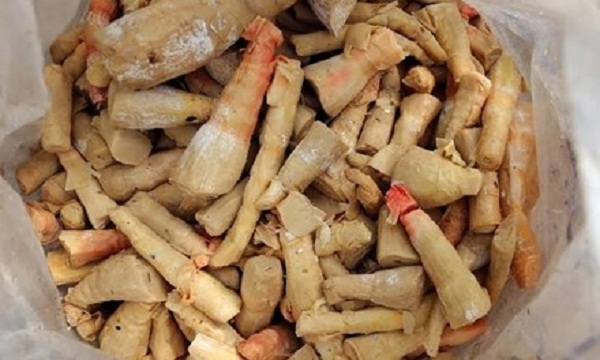 Măng bị đổi m&agrave;u, mốc, thối trong kho ở H&agrave;n Thuy&ecirc;n.