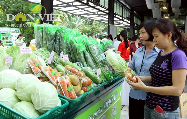 Người ti&ecirc;u d&ugrave;ng lựa chọn sản phẩm theo ti&ecirc;u chuẩn VietGap. Ảnh:Thanh Vũ/TTXVN