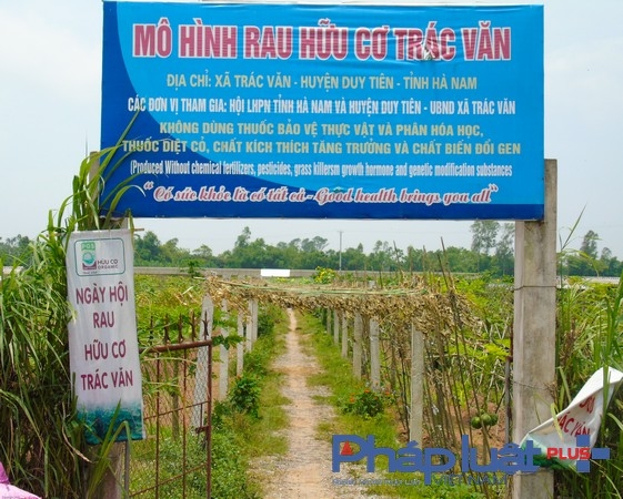 M&ocirc; h&igrave;nh được h&igrave;nh th&agrave;nh từ năm 2013. (Ảnh: H&agrave; Đương).