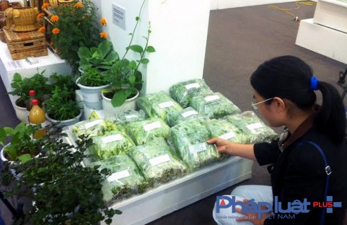 Sản phẩm rau hữu cơ đ&atilde; được nhiều người ti&ecirc;u d&ugrave;ng tin tưởng sử dụng. (Ảnh: Y&ecirc;n Ba).