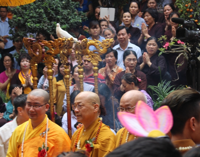 ... V&agrave; ph&oacute;ng sinh bồ c&acirc;u h&ograve;a b&igrave;nh.