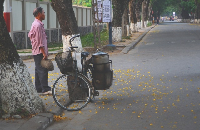 Rực rỡ sắc v&agrave;ng Ho&agrave;ng điệp Cố đ&ocirc; Huế