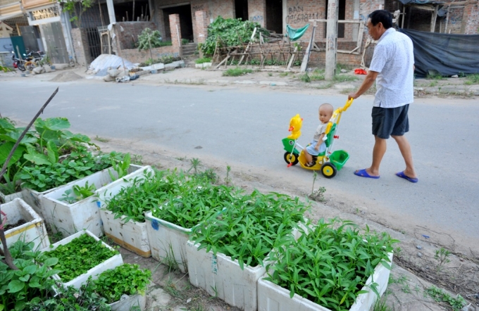 Đa phần người d&acirc;n ở đ&acirc;y khi được hỏi đều trả lời họ kh&ocirc;ng thấy bất tiện trước việc vỉa h&egrave; bị chiếm dụng để trồng rau sạch.