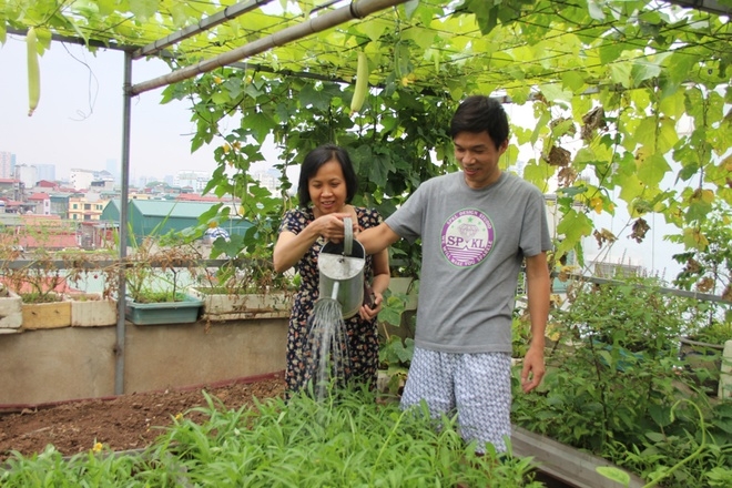 Sau một thời gian, thấy vợ quyết t&acirc;m v&agrave; c&oacute; được lứa rau đầu xanh ngon, anh quyết định dỡ phần m&aacute;i t&ocirc;n để c&oacute; mặt bằng trồng rau. Kh&ocirc;ng chỉ thế, anh c&ograve;n l&agrave;m khung th&eacute;p v&agrave; đan lưới để l&agrave;m gi&agrave;n cho bầu b&iacute;, mướp.