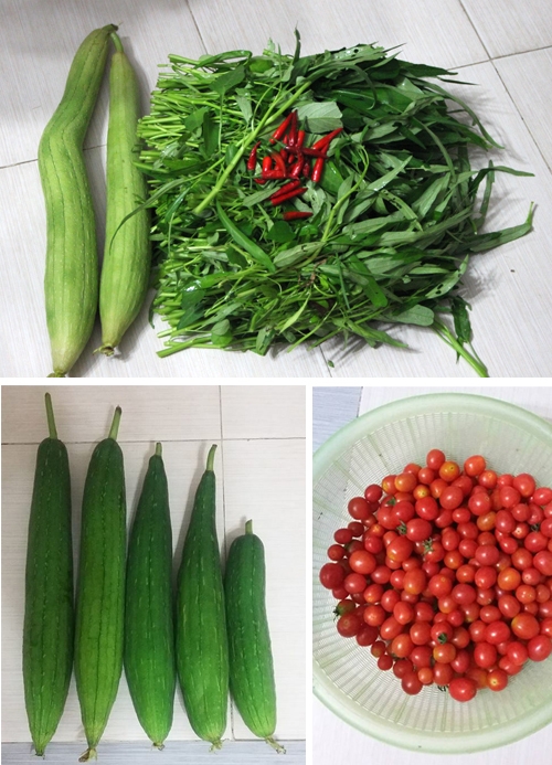 Kh&oacute; khăn lớn nhất của chị Hiền - anh Kh&aacute;nh khi l&agrave;m vườn l&agrave; đưa được lượng đất lớn l&ecirc;n s&acirc;n thượng. Anh chị phải cho đất v&agrave;o bao tải, khi&ecirc;ng dần l&ecirc;n s&acirc;n thượng.