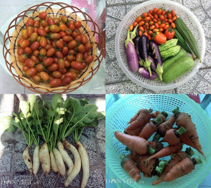 Những chiến lợi phẩm sạch m&agrave; chị thu hoạch được từ khu vườn s&acirc;n thượng của m&igrave;nh