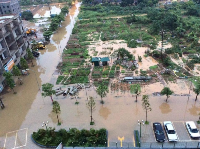 Phố Th&aacute;i H&agrave;.