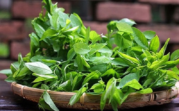 Cần mua rau ng&oacute;t ở những nơi c&oacute; địa chỉ uy t&iacute;n v&agrave; nguồn gốc xuất xứ đ&aacute;ng tin cậy. Ảnh: minh họa