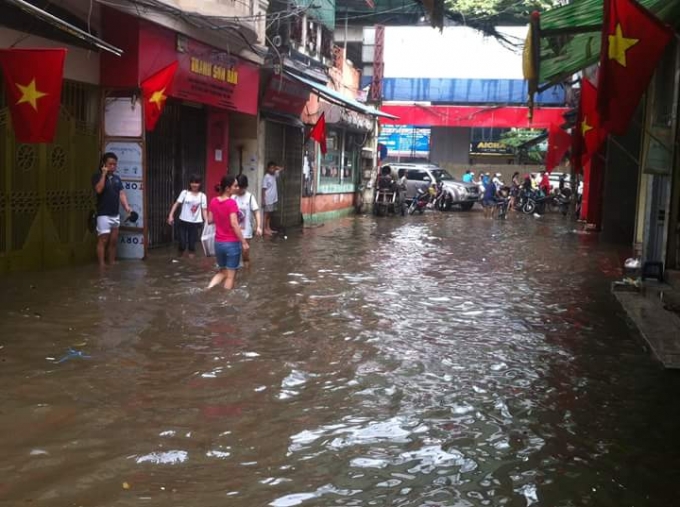 Sư phạm Nhạc họa Trung ương.