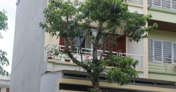 Nghệ An: Bị bắt quả tang trên chiếu bạc, ba Đảng viên bị đình chỉ sinh hoạt đảng