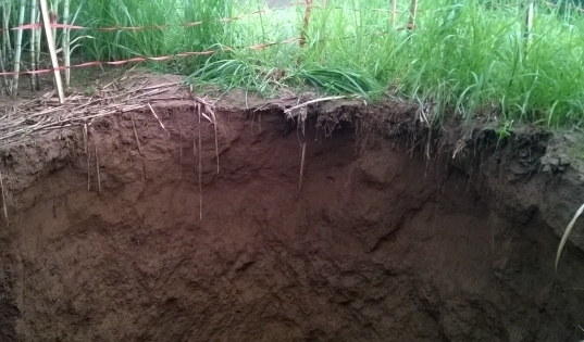 Thanh Hóa: Xôn xao việc xuất hiện “hố tử thần” ven sông Bưởi