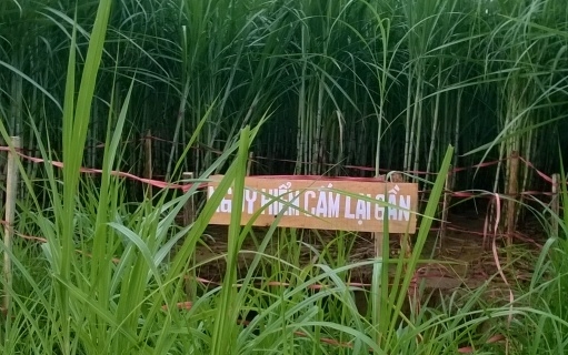 UBND x&atilde; Th&agrave;nh Vinh đ&atilde; phong tỏa hiện trường, cắm biển cảnh b&aacute;o nguy hiểm v&igrave; qu&aacute; đ&ocirc;ng người d&acirc;n hiếu kỳ k&eacute;o đến xem.