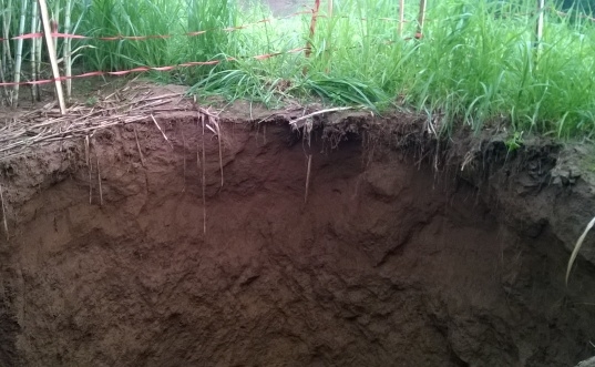 Hố tử thần xuất hiện tại x&atilde; Th&agrave;nh Vinh lần n&agrave;y cũng kh&ocirc;ng ngoại lệ l&agrave; hiện tượng sụt l&uacute;n hết sức b&igrave;nh thường.