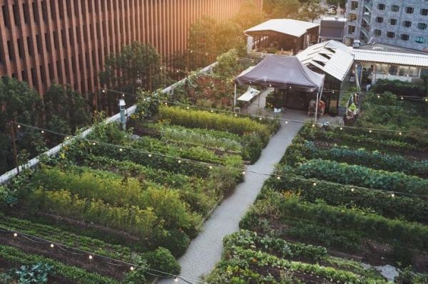 Nh&agrave; h&agrave;ng n&agrave;y c&oacute; một&nbsp;vườn rau tr&ecirc;n s&acirc;n thượng&nbsp;cung cấp thực phẩm sạch cho nh&agrave; bếp.