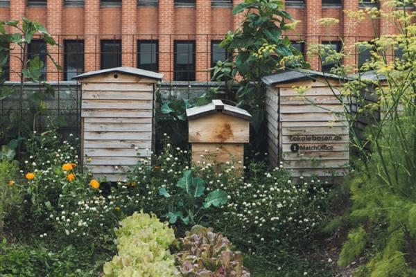 Vườn rau n&agrave;y đ&atilde; mang lại cho c&aacute;c thực kh&aacute;ch những m&oacute;n ăn chế biến bằng rau củ tại chỗ tươi ngon v&agrave; lu&ocirc;n c&oacute; loại rau mới theo m&ugrave;a. Khu vườn n&agrave;y c&ograve;n l&agrave; nơi nu&ocirc;i g&agrave; hay nu&ocirc;i ong mật của nh&agrave; h&agrave;ng.