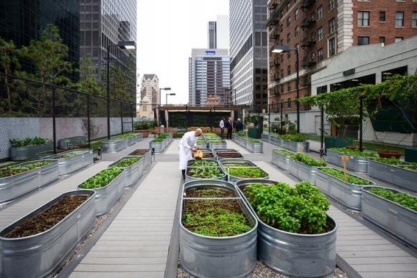 Khu vườn rau xanh tr&ecirc;n n&oacute;c nh&agrave; thuộc sở hữu của nh&agrave; h&agrave;ng Jonathan Club Pastry. N&oacute; đ&atilde; mang lại cho nh&agrave; h&agrave;ng khoản thu hơn 100.000 USD (tương đương 2,1 tỷ đồng) từ tiền b&aacute;n rau xanh.