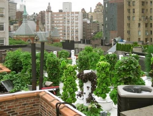 Bell Book and Candle l&agrave; một nh&agrave; h&agrave;ng mới mở v&agrave;o năm 2010, 60% rau xanh sản xuất tr&ecirc;n khu vườn s&acirc;n thượng cung cấp cho bếp của nh&agrave; h&agrave;ng với thực đơn c&aacute;c m&oacute;n ăn cổ điển của d&acirc;n Mỹ mỗi ng&agrave;y.