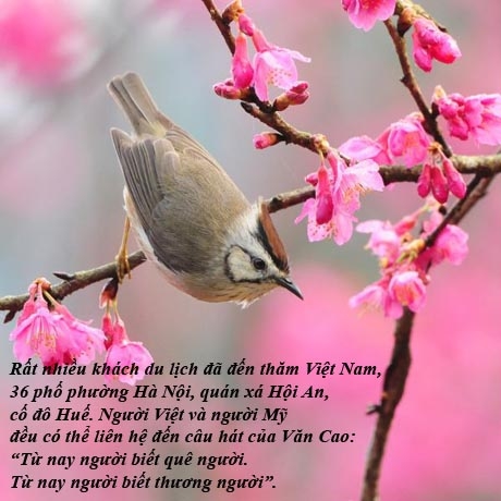 Những &ldquo;điểm cộng&rdquo; văn h&oacute;a của &ocirc;ng Obama trong chuyến thăm Việt Nam