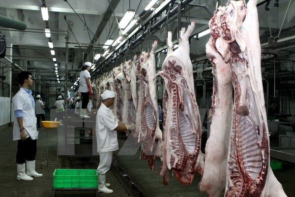 D&acirc;y chuyền giết mổ lợn tại C&ocirc;ng ty VISSAN. Ảnh: Thanh Vũ/TTXVN