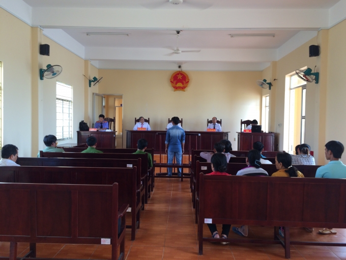 Quan cảnh phi&ecirc;n t&ograve;a.