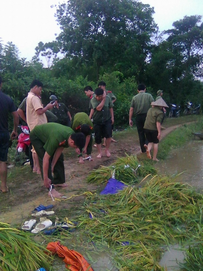 Ninh B&igrave;nh: CSGT, C&ocirc;ng an 2 huyện được huy động gi&uacute;p d&acirc;n gặt l&uacute;a chạy lũ