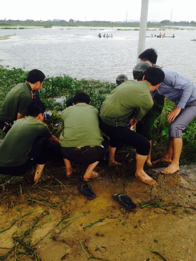 Các chi&ecirc;́n sỹ kéo lúa l&ecirc;n bờ.