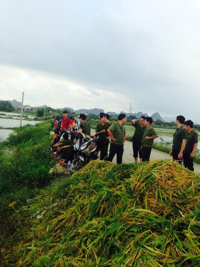 Ninh B&igrave;nh: CSGT, C&ocirc;ng an 2 huyện được huy động gi&uacute;p d&acirc;n gặt l&uacute;a chạy lũ