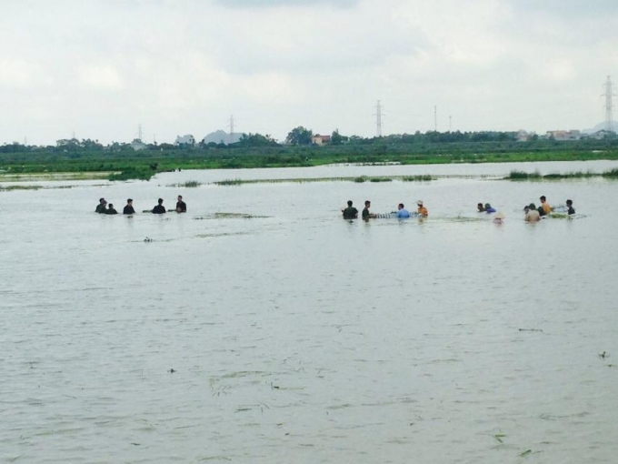 Ninh B&igrave;nh: CSGT, C&ocirc;ng an 2 huyện được huy động gi&uacute;p d&acirc;n gặt l&uacute;a chạy lũ