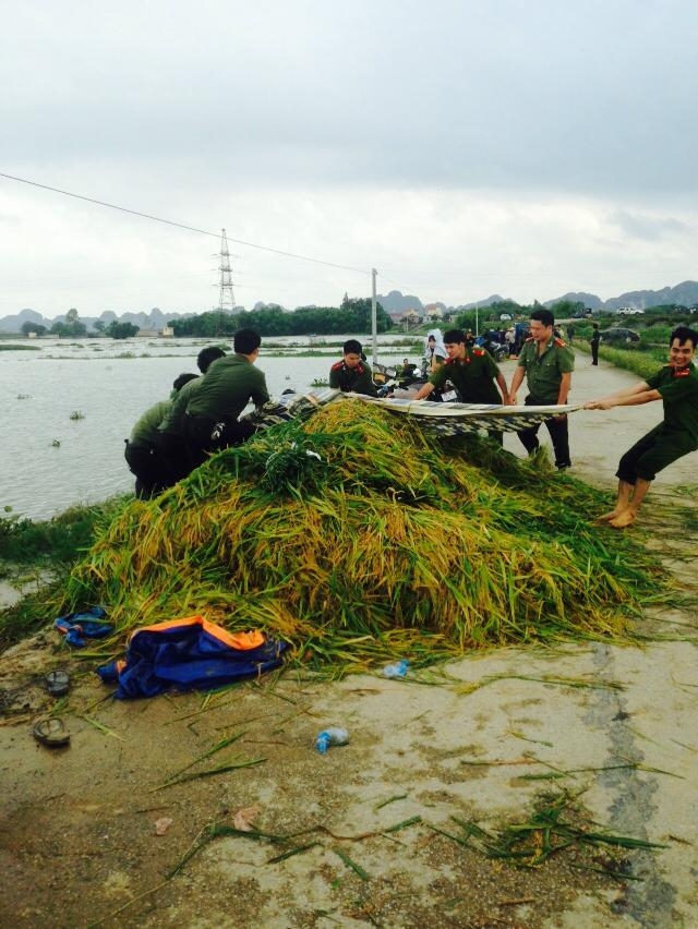 Ninh B&igrave;nh: CSGT, C&ocirc;ng an 2 huyện được huy động gi&uacute;p d&acirc;n gặt l&uacute;a chạy lũ