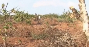 Thời sự 9h ngày 27/5/2016: Hàng trăm hộ dân chung cư Harmona bức xúc vì bị xiết nợ nhà