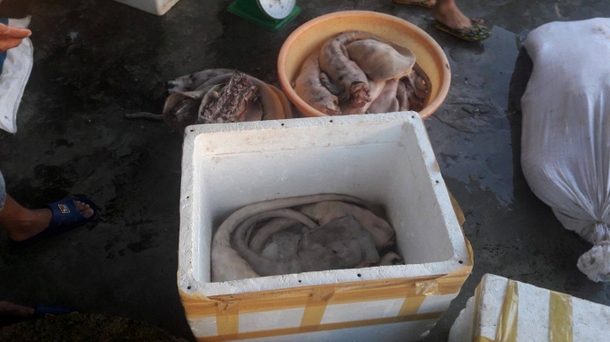 Đu&ocirc;i b&ograve; đ&atilde; chuyển m&agrave;u v&agrave; bốc m&ugrave;i h&ocirc;i kh&oacute; chịu. Ảnh: Danh Tạo