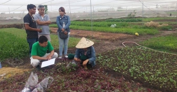 Một căn nhà lá, hai trái tim xanh