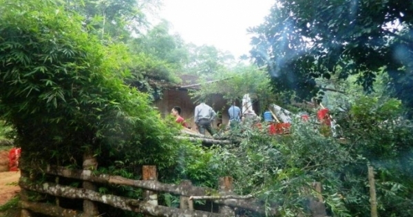 Đến nhà uống rượu rồi giết hại gia chủ cướp tài sản