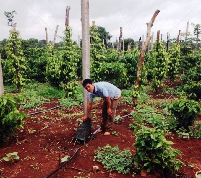 Thiệt hại của b&agrave; con l&ecirc;n đến h&agrave;ng chục triệu đồng.
