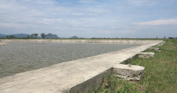 Một buổi chiều 5 học sinh ở Nghệ An đuối nước thương tâm