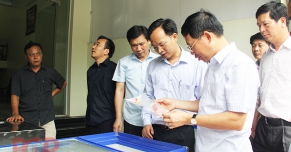 Thu 500 triệu đồng/tháng nhờ mô hình cung cấp thịt lợn an toàn ở Hiệp Hòa