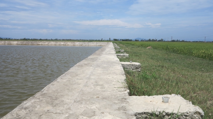 Hồ nước nơi c&aacute;c em em bị đuối nước tử vong.